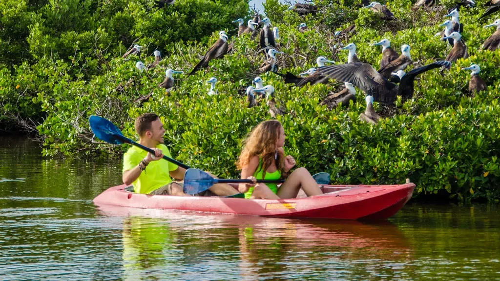 Shared Barbuda Boat Charter